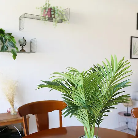 Berges Du Midi - Piscine Parking Apartment