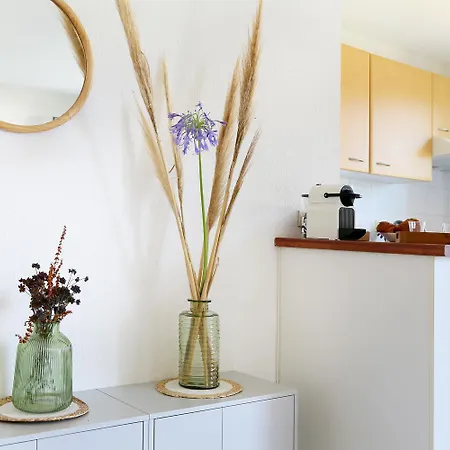 Berges Du Midi - Piscine Parking Apartment Fenouillet (Haute-Garonne)