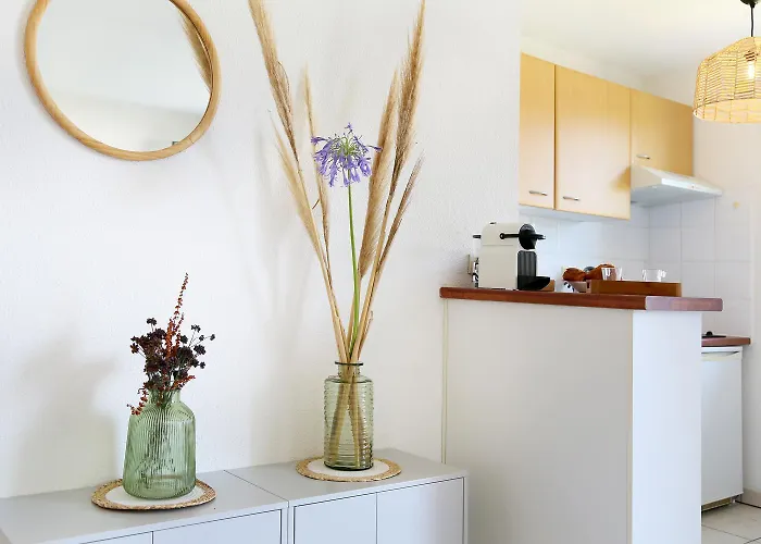 Berges Du Midi - Piscine Parking Appartement Fenouillet (Haute-Garonne)